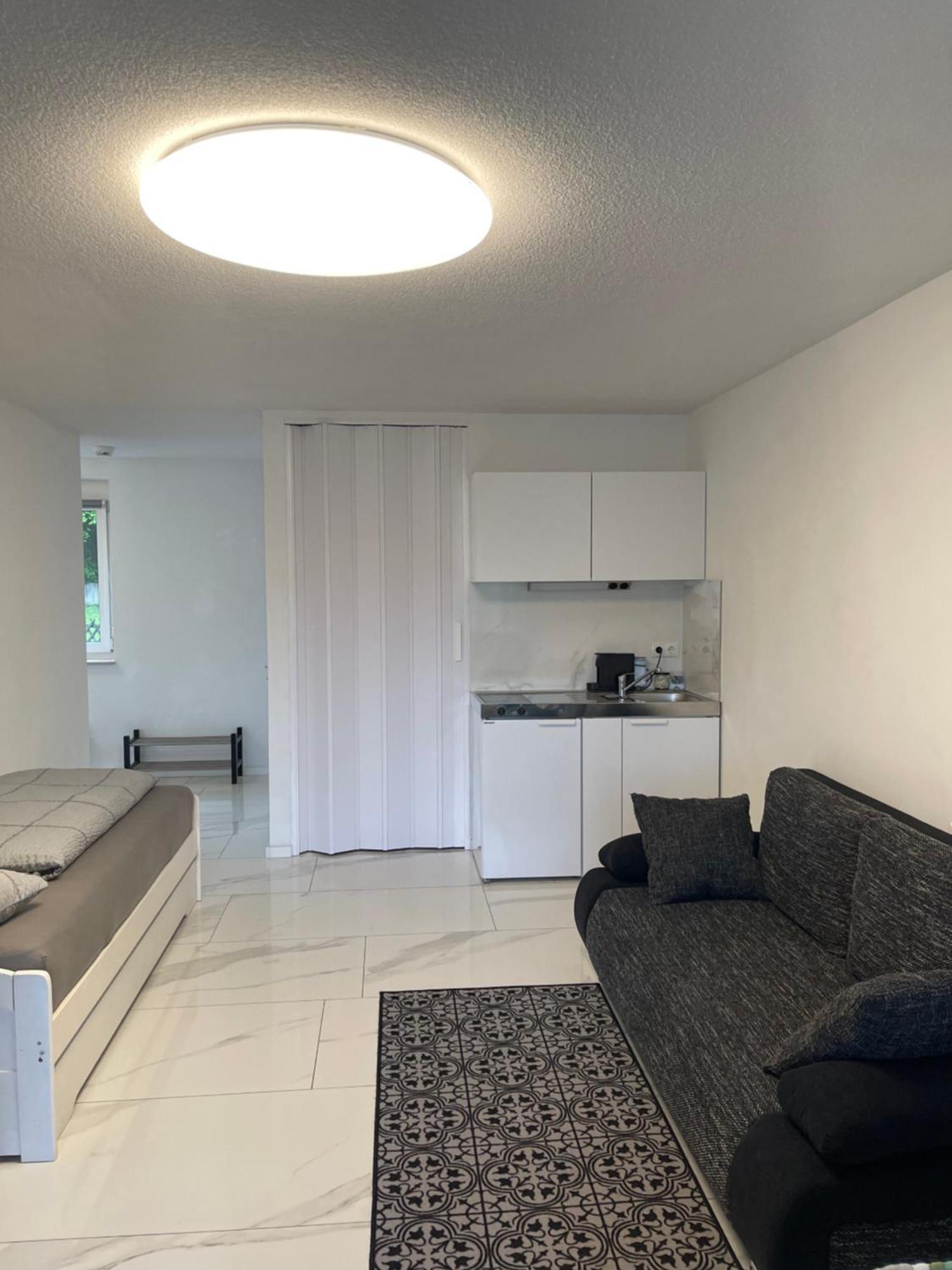 Apartment Bergsee Бад-Зекинген Экстерьер фото